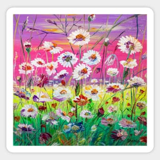 Sunset. Camomile field Sticker